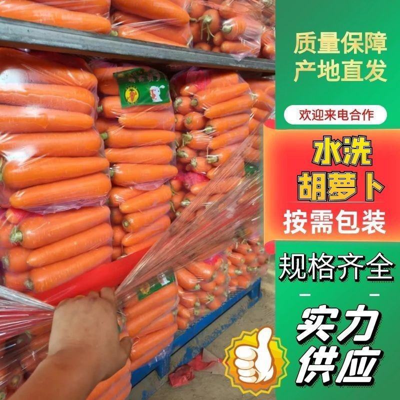 精品胡萝卜三红胡萝卜，商超品质，大量有货，全国发货