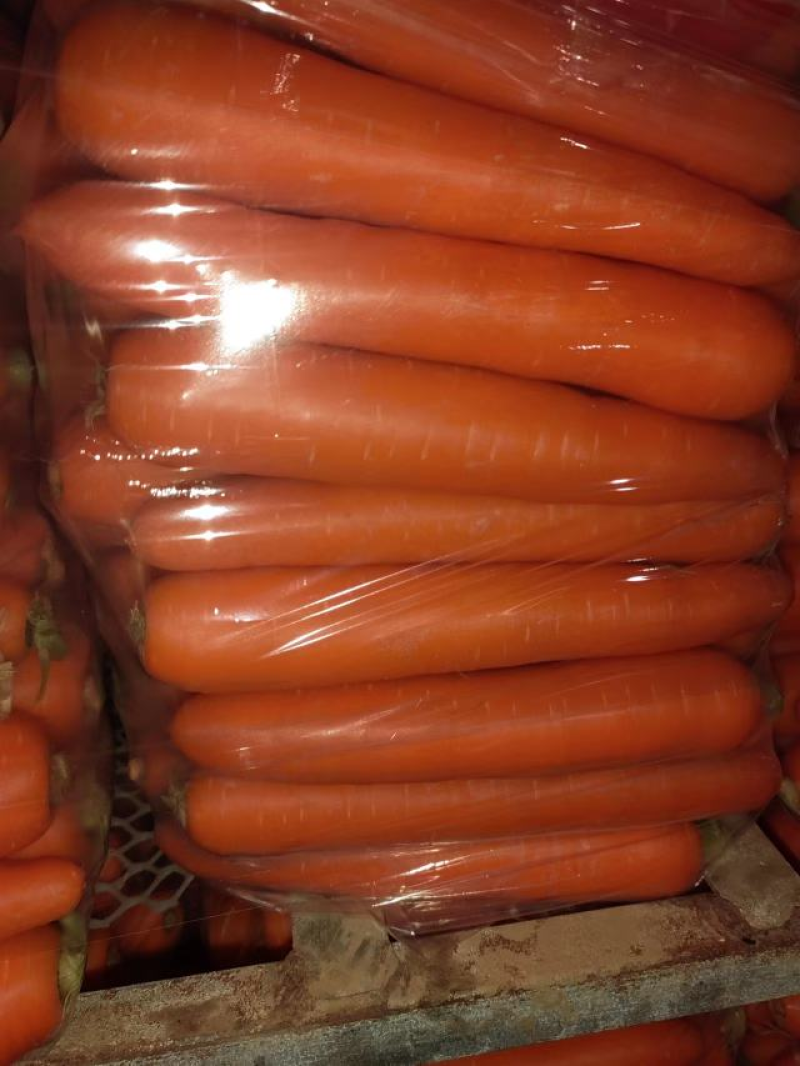 精品胡萝卜三红胡萝卜，商超品质，大量有货，全国发货