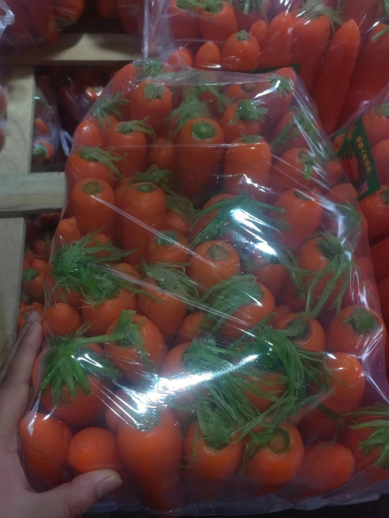 精品胡萝卜三红胡萝卜，商超品质，大量有货，全国发货
