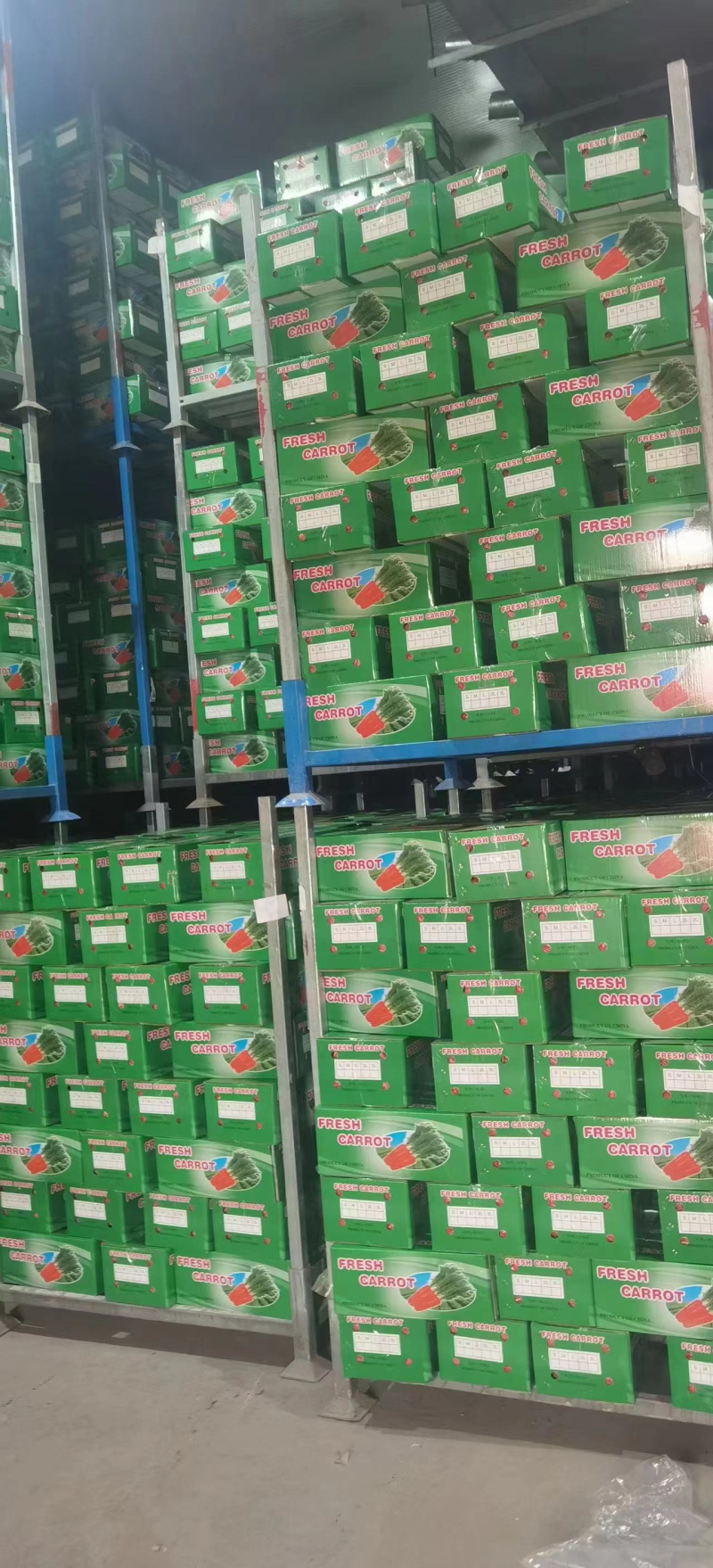 精品胡萝卜三红胡萝卜，商超品质，大量有货，全国发货