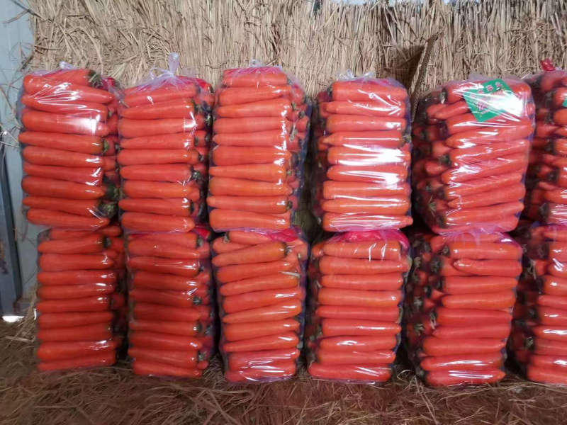【精选】三红胡萝卜，商超品质，货源稳定，整车发货
