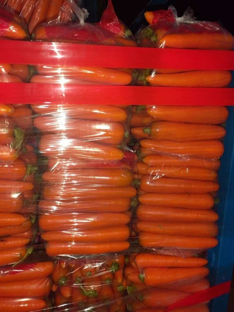 开封通许胡萝卜精品三红胡萝卜货源充足电商货市场货