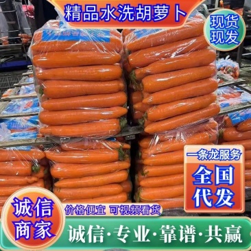 开封通许胡萝卜精品三红胡萝卜货源充足电商货市场货