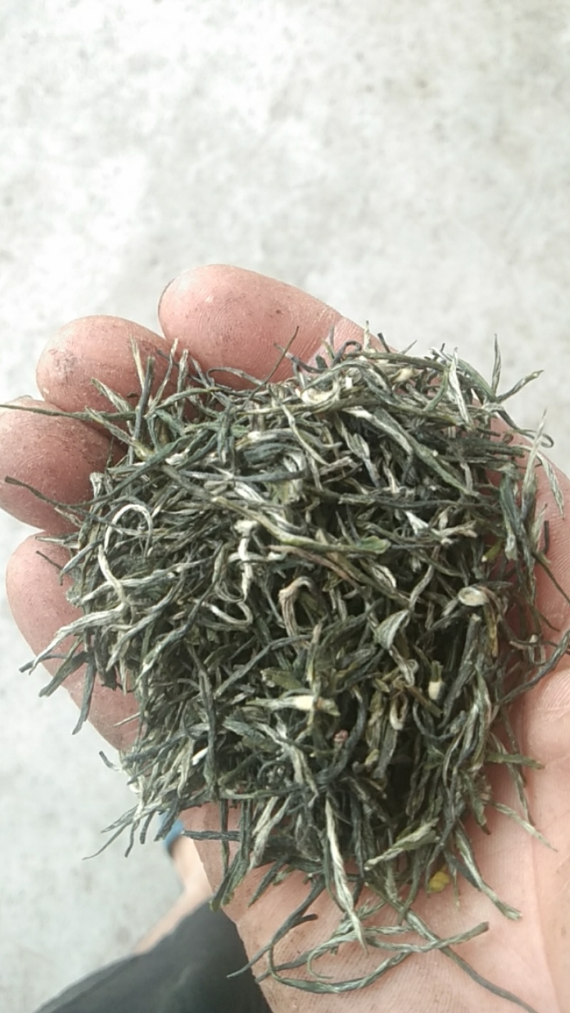 口粮茶绿茶