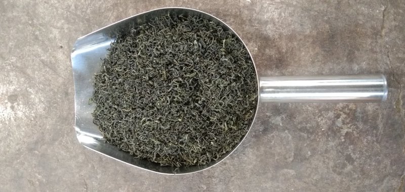 口粮茶绿茶