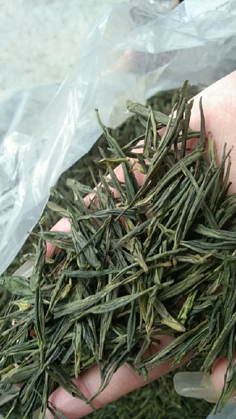口粮茶绿茶