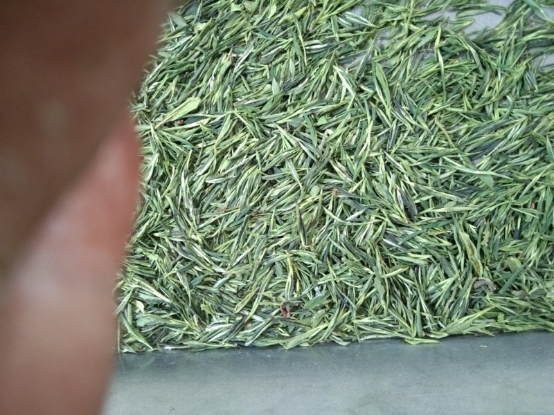 口粮茶绿茶