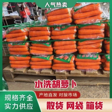 胡萝卜三红胡萝卜产地直发供应市场电商