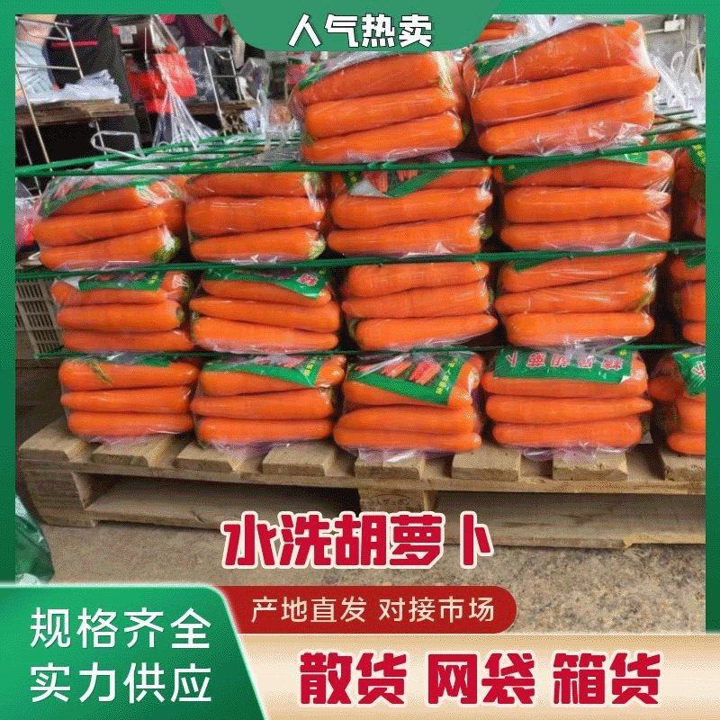 胡萝卜三红胡萝卜产地直发供应市场电商