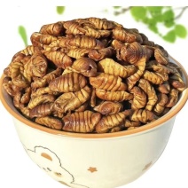 蚕蛹新鲜生鲜速冻茧蛹子正宗桑蚕