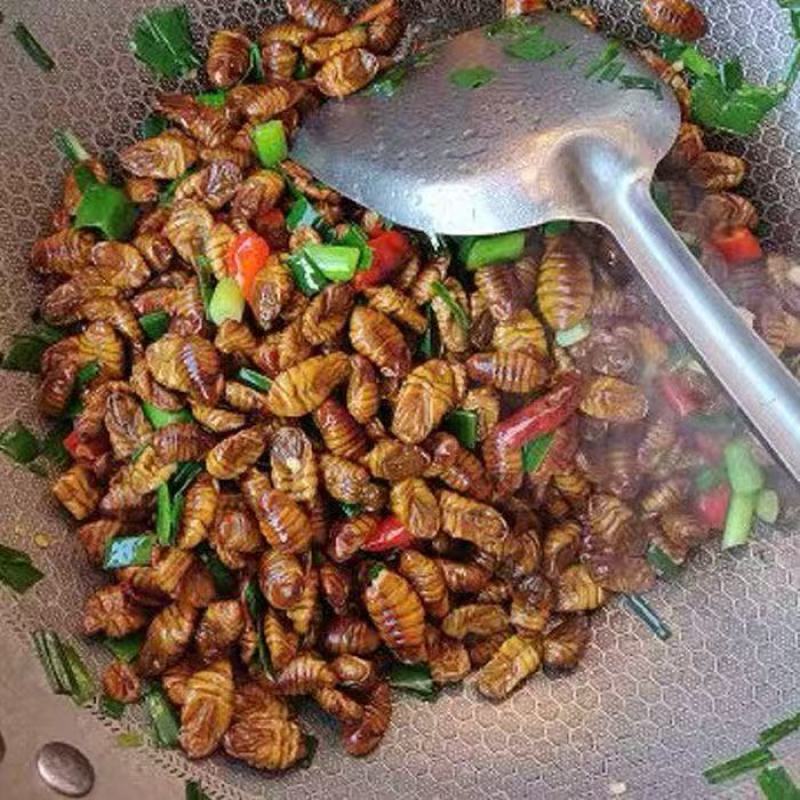 蚕蛹新鲜生鲜速冻茧蛹子正宗桑蚕