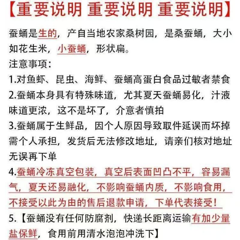 蚕蛹新鲜生鲜速冻茧蛹子正宗桑蚕