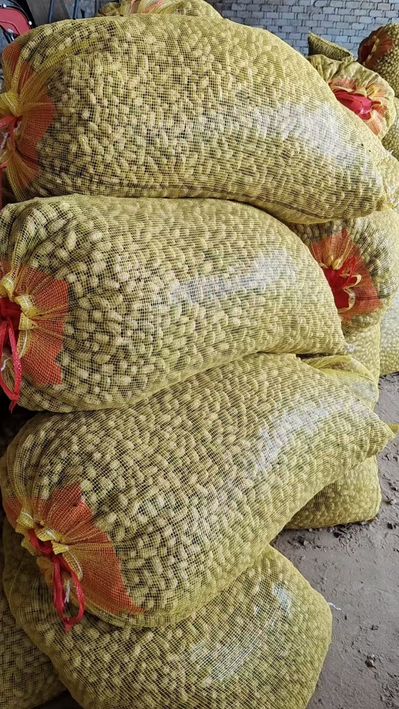 推荐鲜花生罗汉果花生现挖新鲜现货量大从优价格实惠
