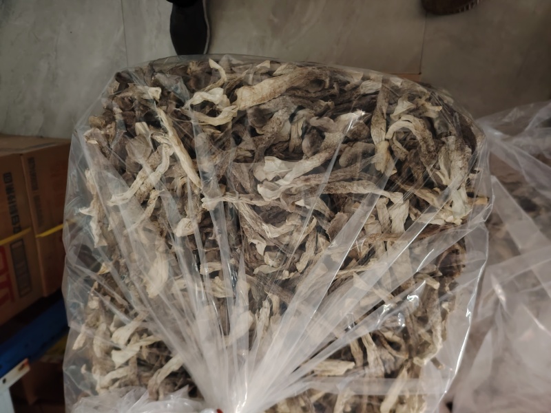鹿茸菇
