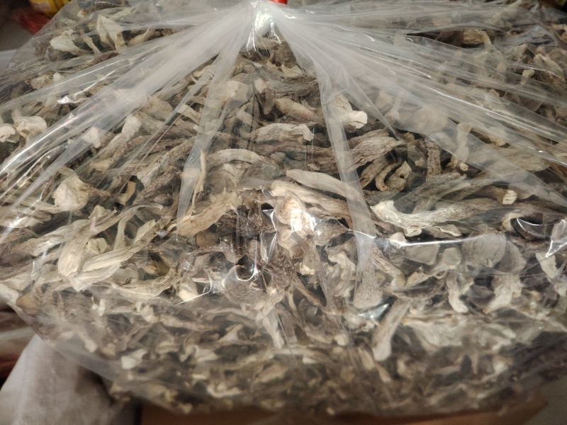 鹿茸菇