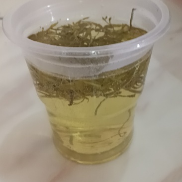 永顺莓茶