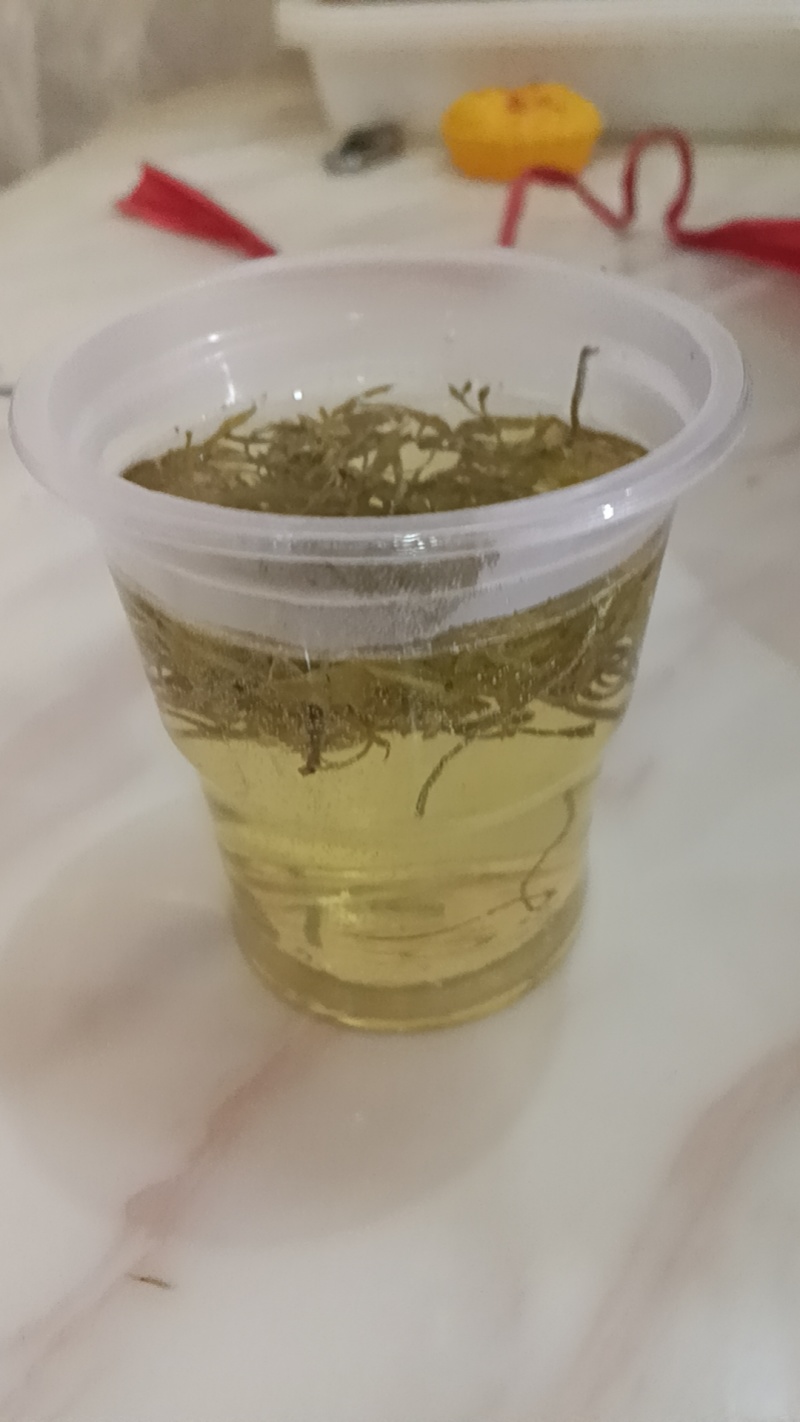 永顺莓茶