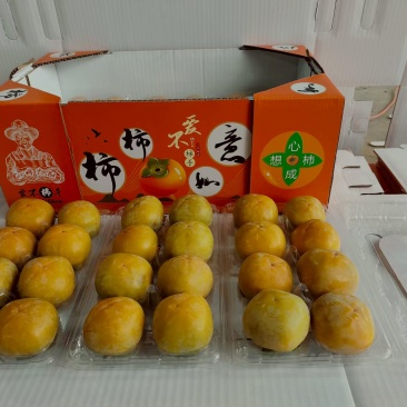 火柿子