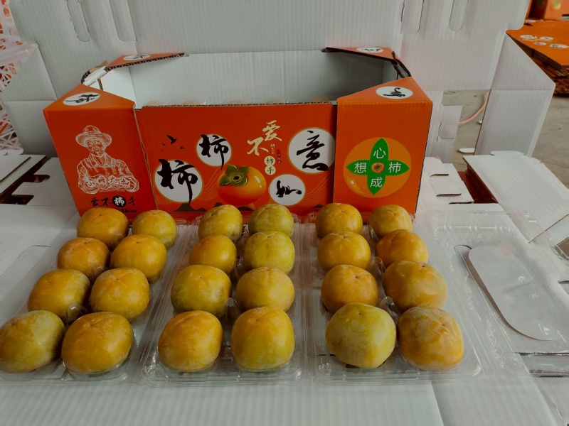 火柿子