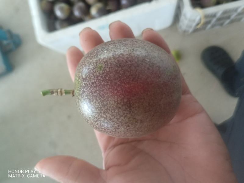 百香果