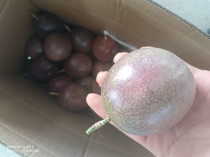 百香果