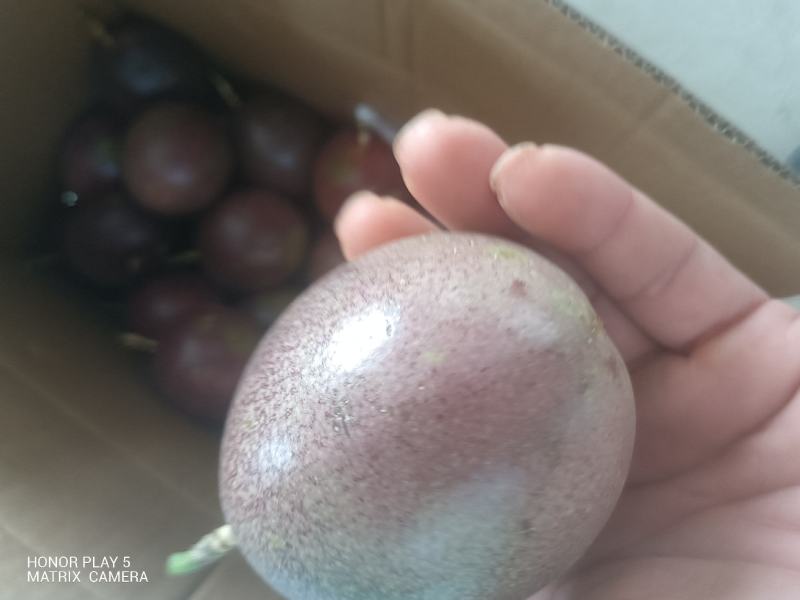百香果