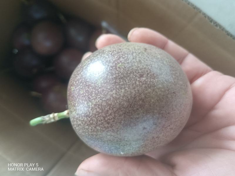 百香果
