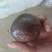 百香果