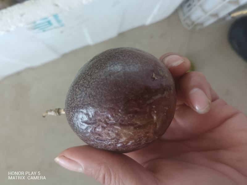 百香果