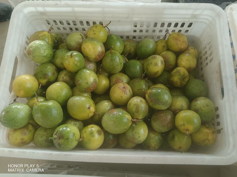 百香果