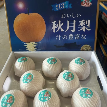 秋月梨