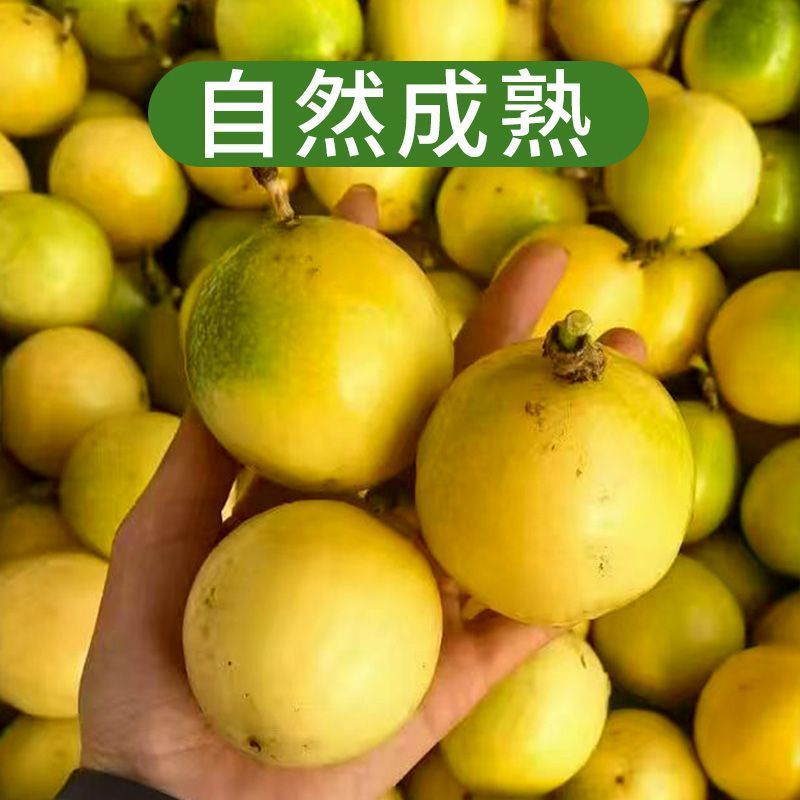 爆甜黄金百香果钦蜜9号新鲜水果对接商用，市场一件代发
