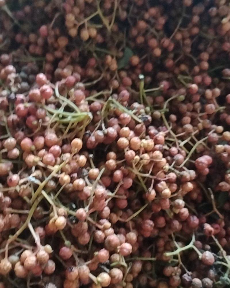 出售花椒