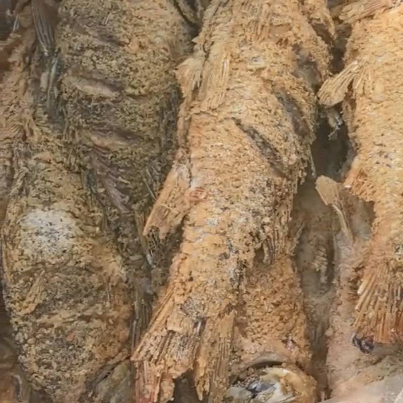 油炸大鲤鱼17一条，一件14条