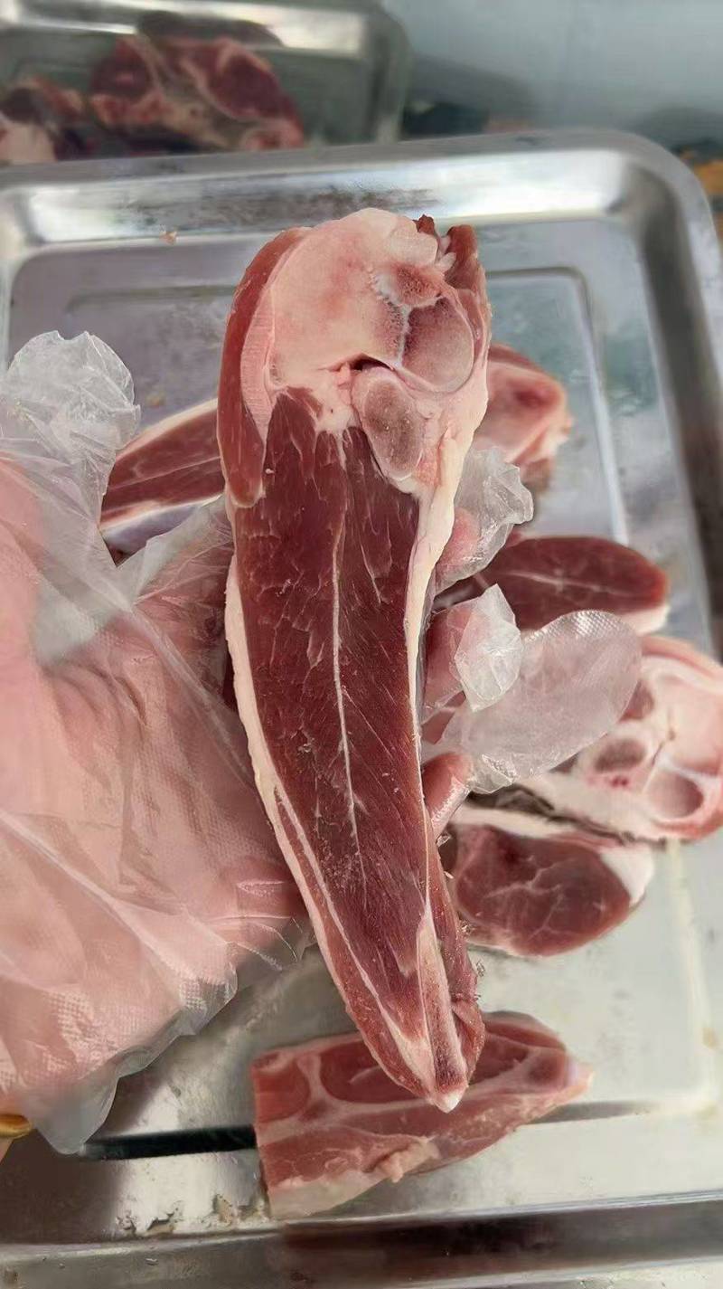内蒙古羔羊腿，瘦度高，**推荐