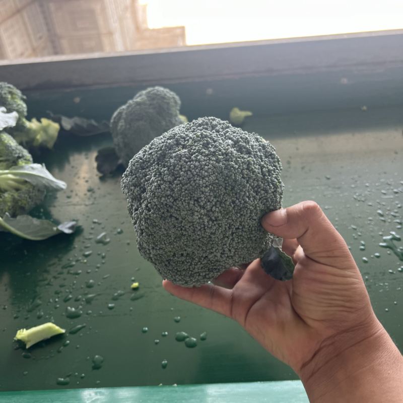 西蓝花