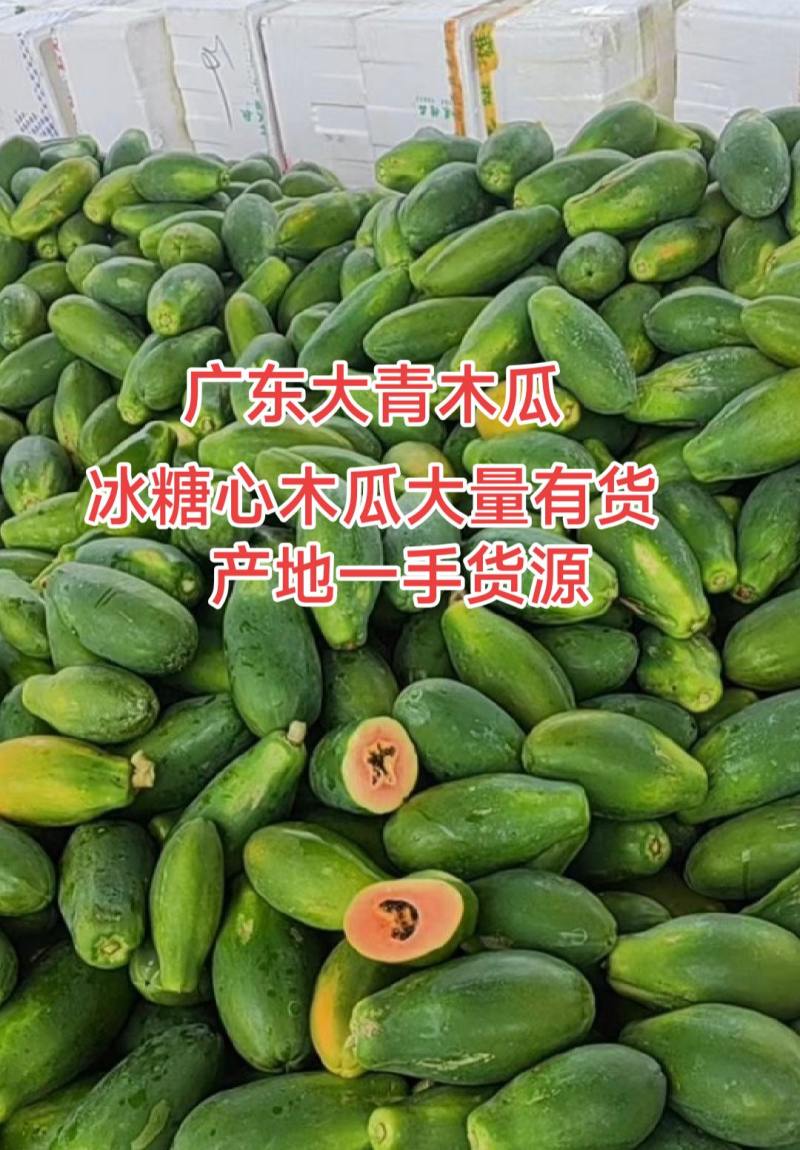 正宗广东大青木瓜冰糖心