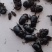 黑瞎闯子牛克朗油克朗蚰壳朗金龟子批发货源充足东北特产