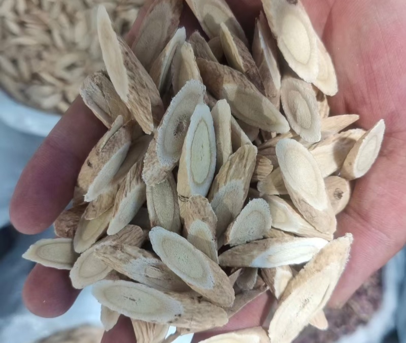 甘肃产地野生黄芪，保质保量，一手货源，现货先发，可视频看