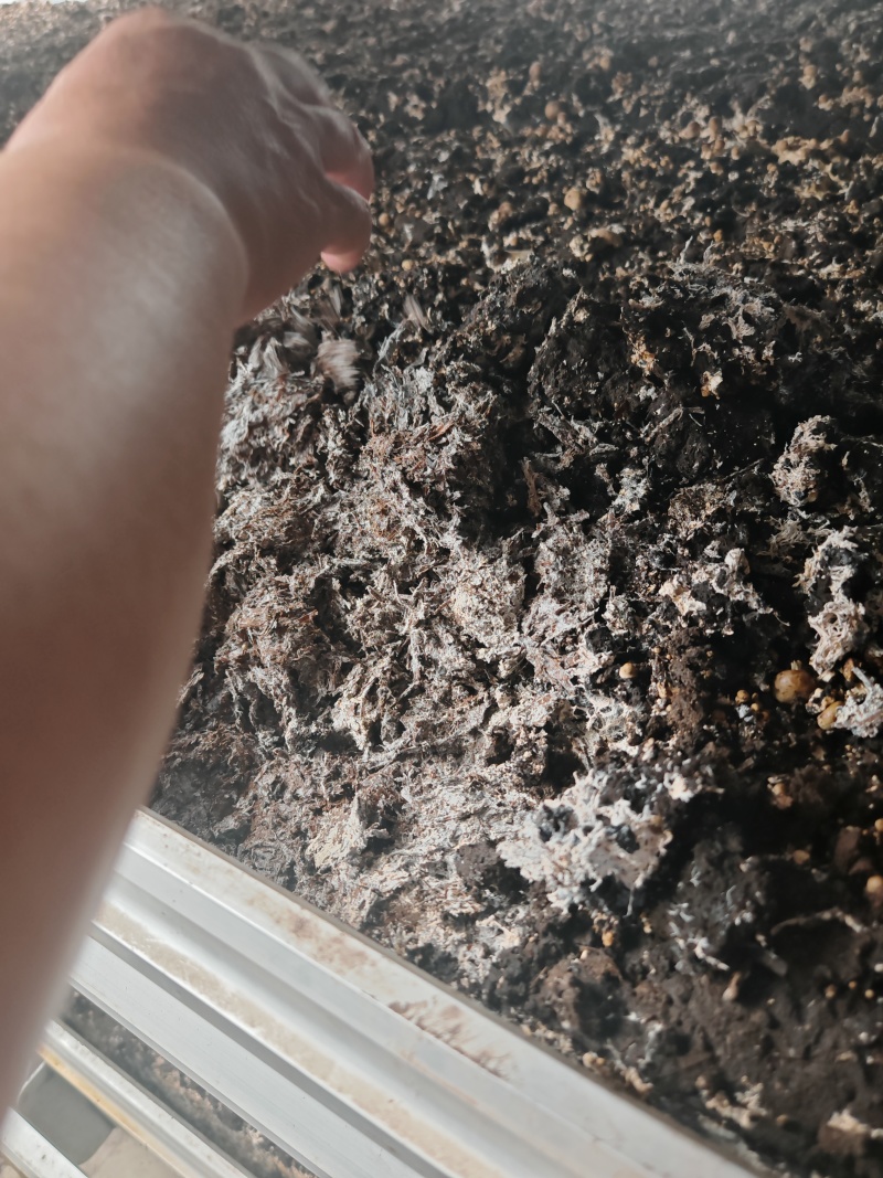 菌渣大量有货，厂家直发，一手货源，欢迎新老客户前来合作
