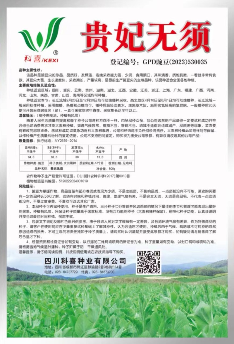 豌豆种子贵妃无须大无须豌豆尖品种茎粗叶肥脆嫩无须肯发