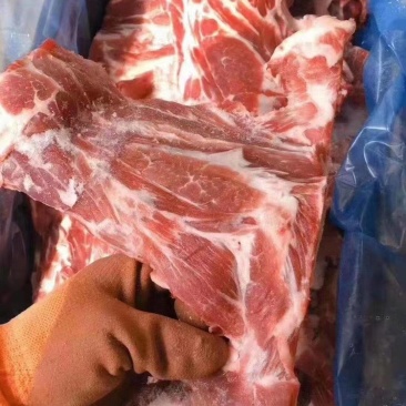 多肉胫骨，新日期新货，支持样品发货，一件也是批发价！
