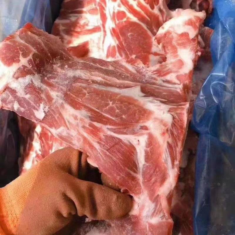 多肉胫骨，新日期新货，支持样品发货，一件也是批发价！