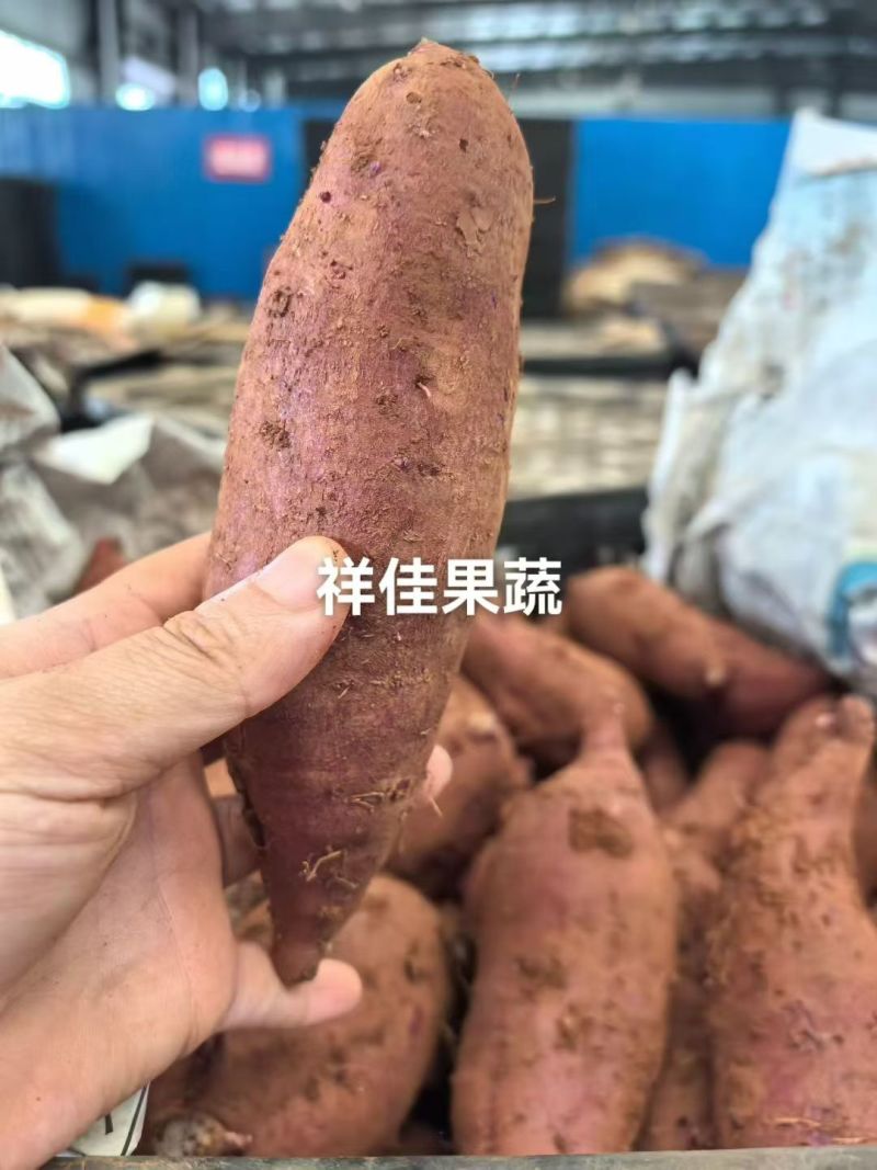 产地直采榴莲蜜薯，大量现货，需要的联系我