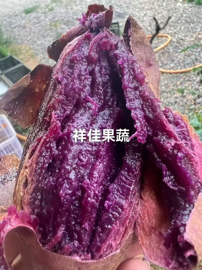 产地直采榴莲蜜薯，大量现货，需要的联系我