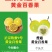 钦秘9号黄金百香果