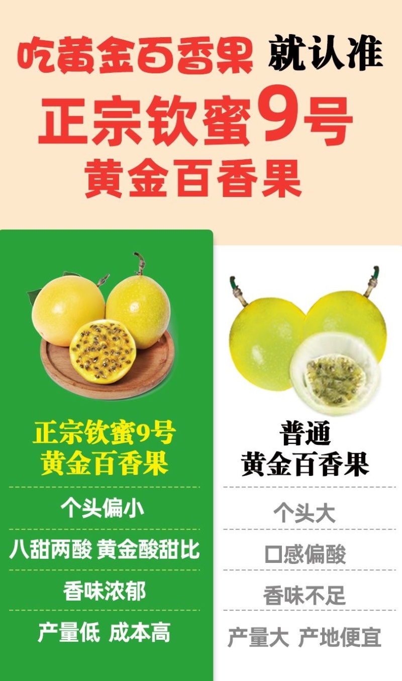 钦秘9号黄金百香果