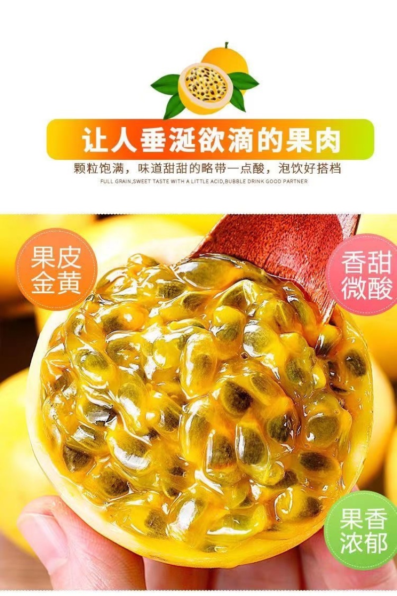 钦秘9号黄金百香果
