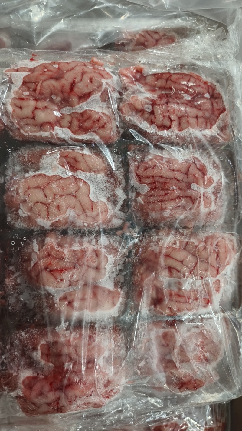 羊对脑