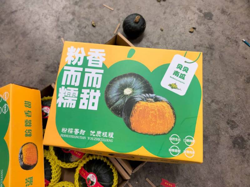 贝贝南瓜各种规格都有，出口各个国家，礼盒包装齐全口感粉糯香甜
